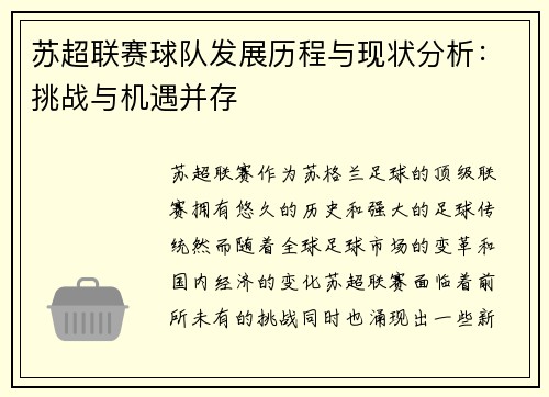 苏超联赛球队发展历程与现状分析：挑战与机遇并存