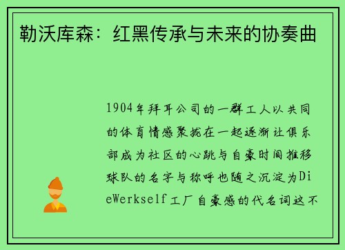 勒沃库森：红黑传承与未来的协奏曲