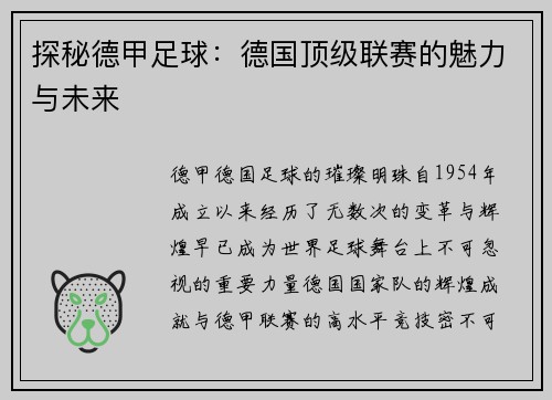 探秘德甲足球：德国顶级联赛的魅力与未来
